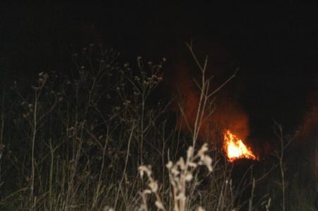 20/11/06 feu  de  détritus